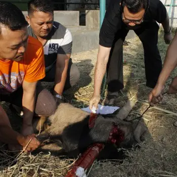 Memaknai Idul Adha dengan Mempererat Silaturahmi dan Semangat Berbagi