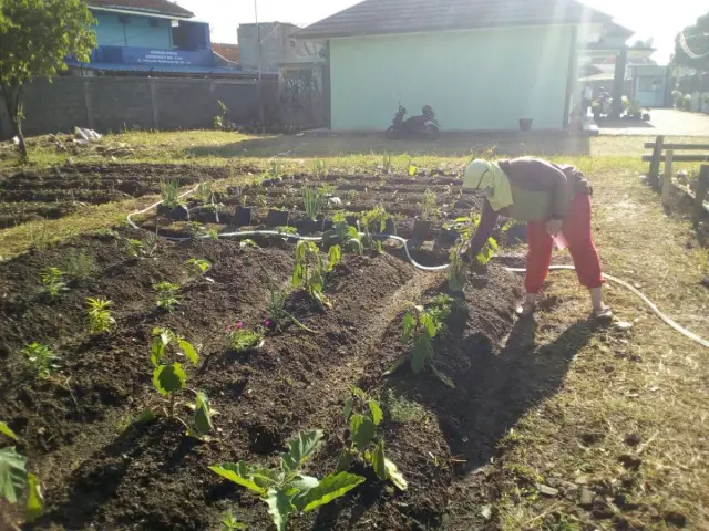 STKIP Siliwangi Berkebun