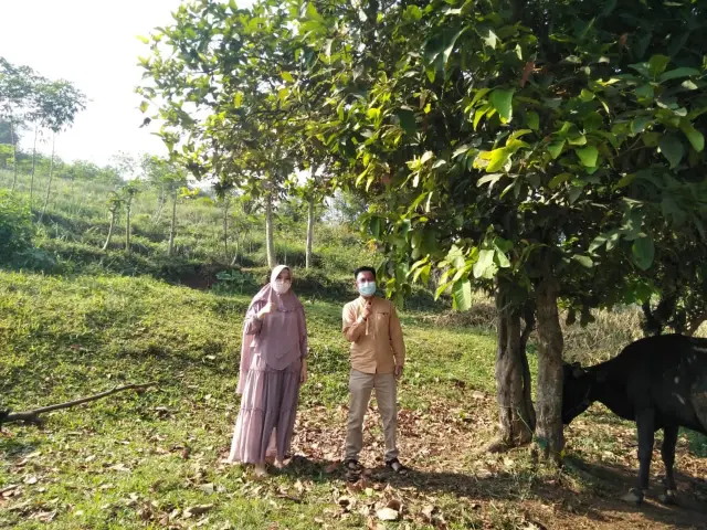Wujud Syukur dan Bakti Sosial, IKIP Siliwangi Kembali Gelar Qurban
