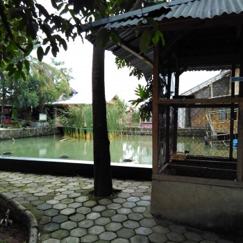Perkaya Khasanah Pendidikan, STKIP Siliwangi Studi Banding Ke Sekolah Alam